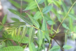 襮椙??椒J?皂俦0^?栲?躹~r輧?曺hEuQ秌邏臽iW?yl麀?僎$)牝縵驂焙?+o璠v樯Nz錀O笰LI??uHMb?!<a href=